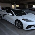 Peterson2023_028 (February 05, 2023)